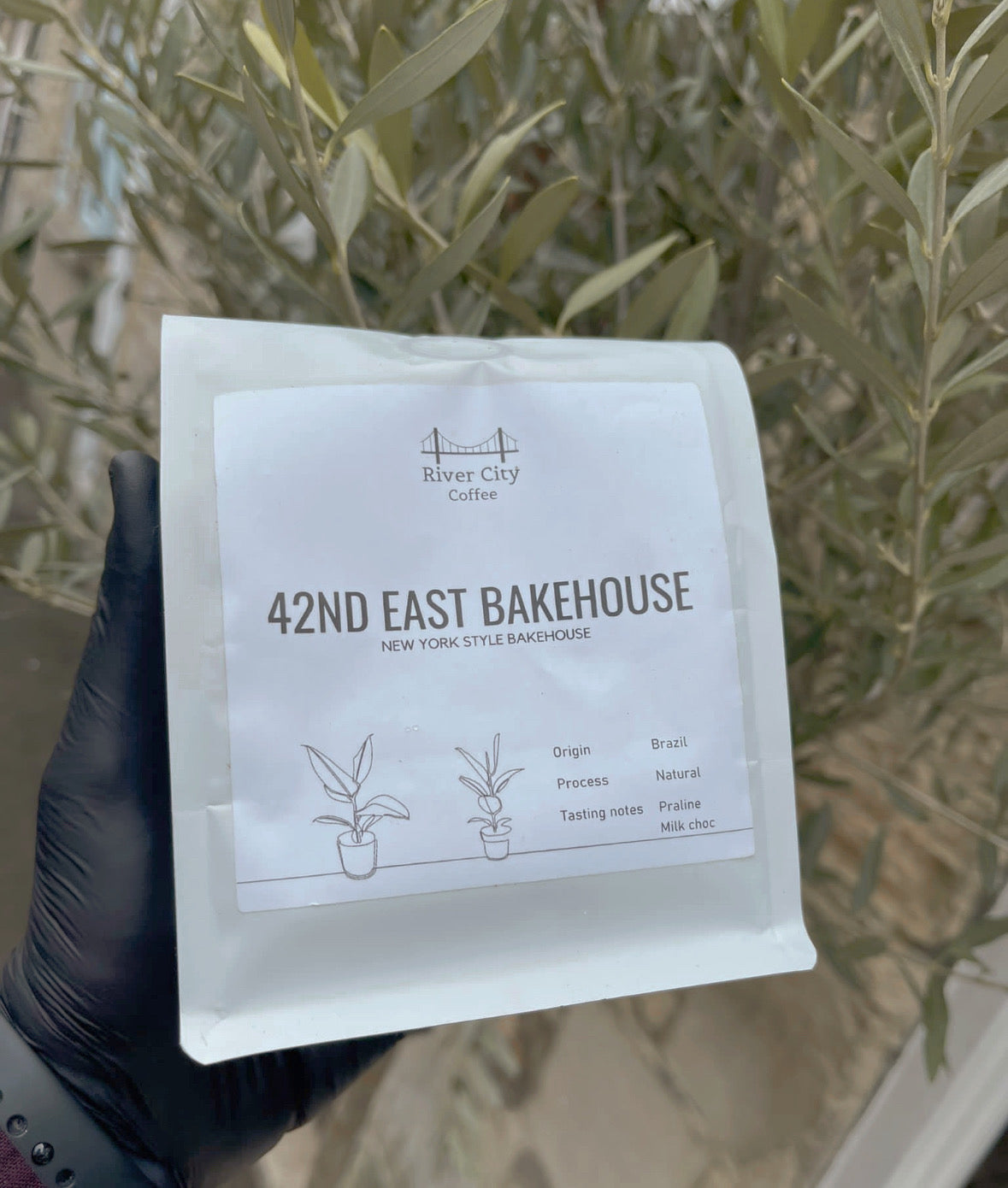 Bakehouse Coffee Beans